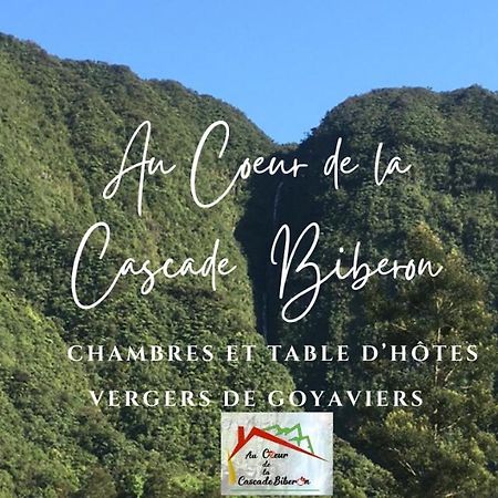Au Coeur De La Cascade Biberon Bed & Breakfast La Plaine des Palmistes Ngoại thất bức ảnh