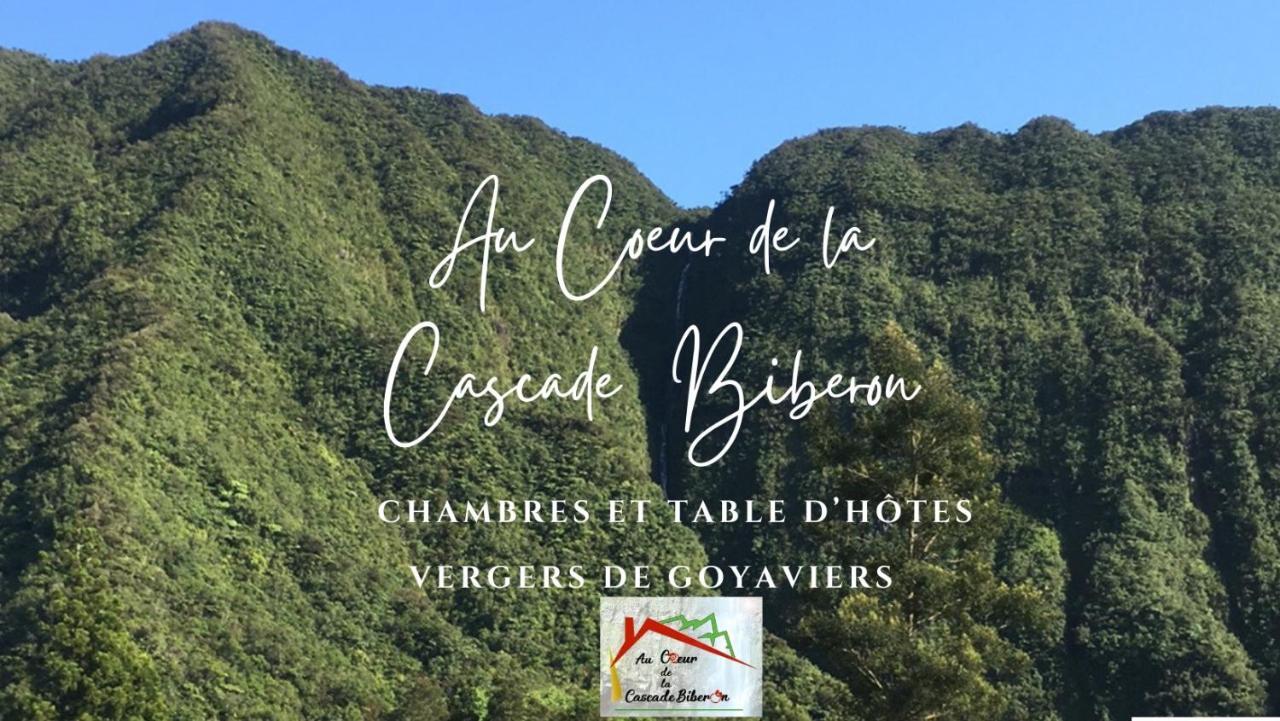 Au Coeur De La Cascade Biberon Bed & Breakfast La Plaine des Palmistes Ngoại thất bức ảnh