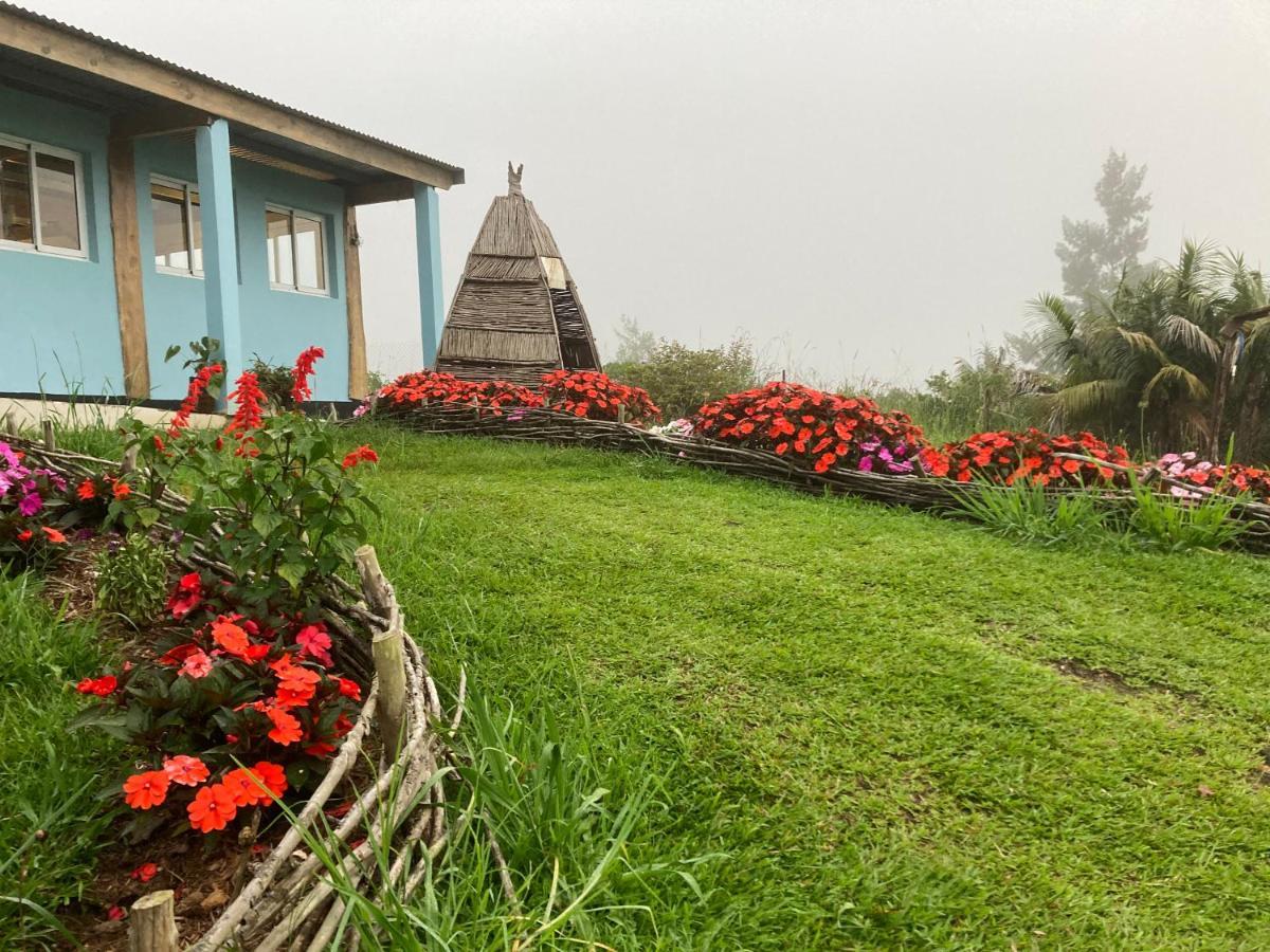 Au Coeur De La Cascade Biberon Bed & Breakfast La Plaine des Palmistes Ngoại thất bức ảnh