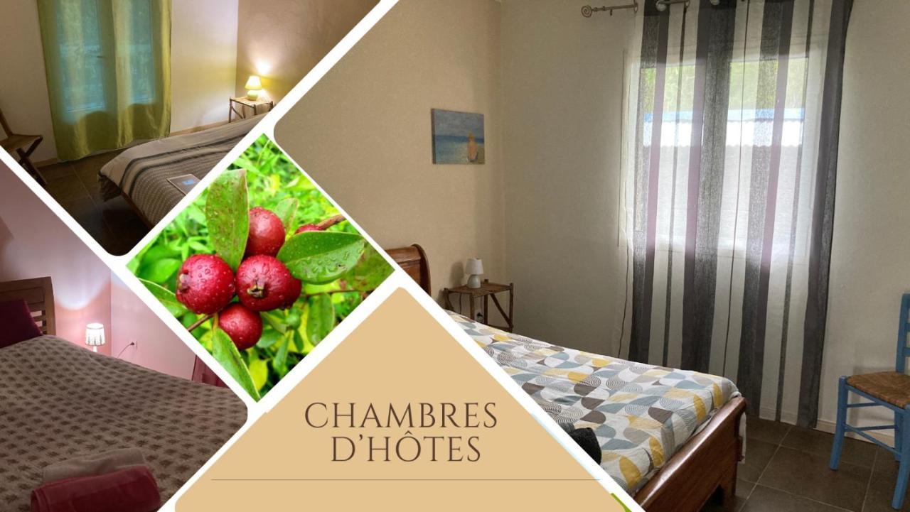 Au Coeur De La Cascade Biberon Bed & Breakfast La Plaine des Palmistes Ngoại thất bức ảnh